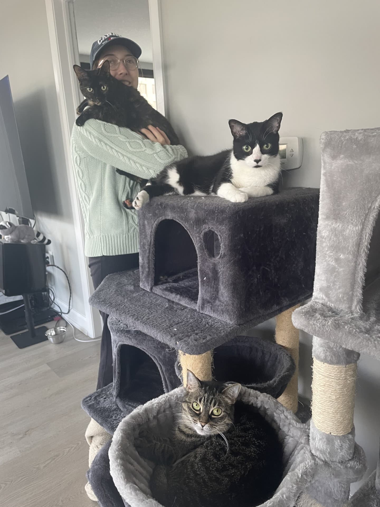 In a pale grey room, a person in a mint sweater and ballcap holds a tortoiseshell cat against her shoulder. On the top platform of a grey carpeted cat tree a black-and-white cat lies facing the camera, front paws tucked under; lower down a brown tabby sits in a round basket.